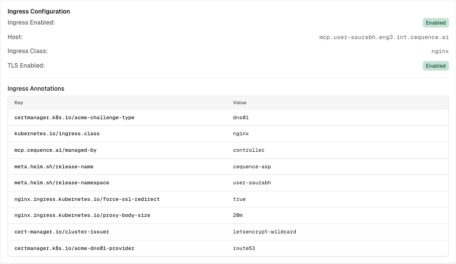 Example Ingress Configuration showing host, ingress class, TLS settings, and annotations